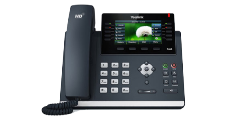 VoIP Services